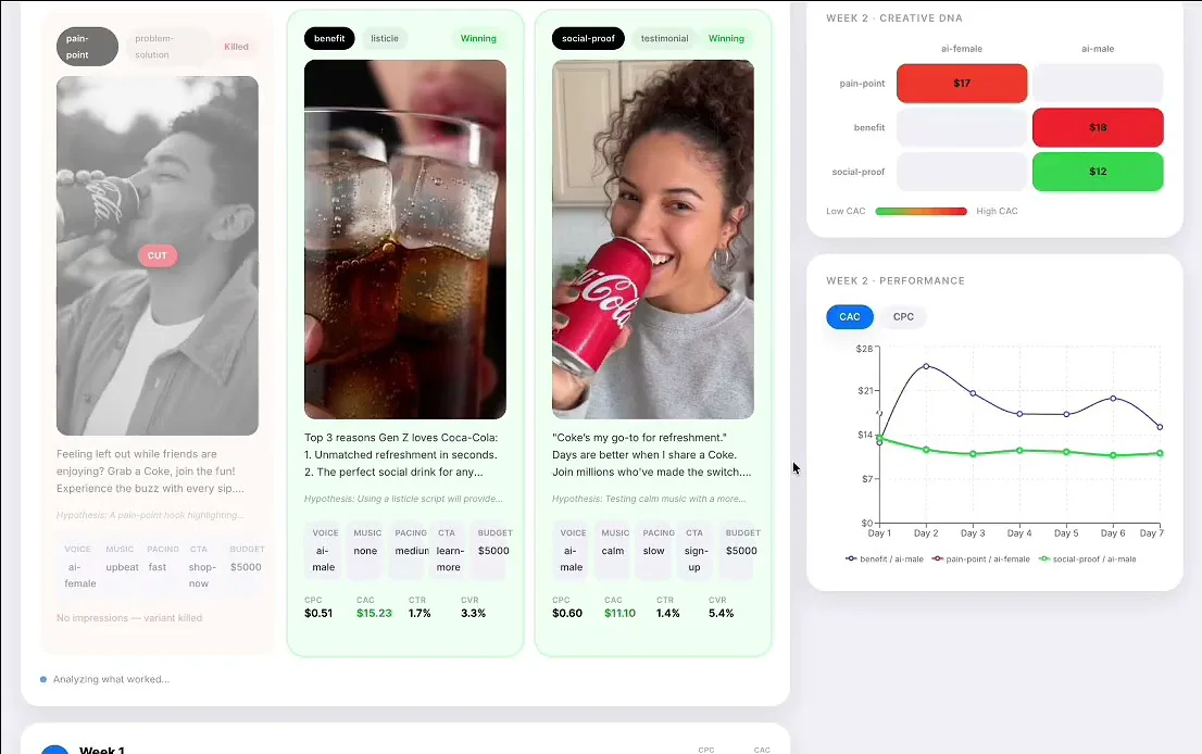 HookLoop week-two results: ad variants marked winning or killed, a creative-DNA cost heatmap, and a seven-day CAC chart